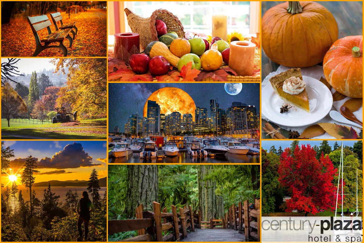 t’s #fall in #vancouver the #colours are stunning Come and experience another #season of #beauty in our/your city by the sea.