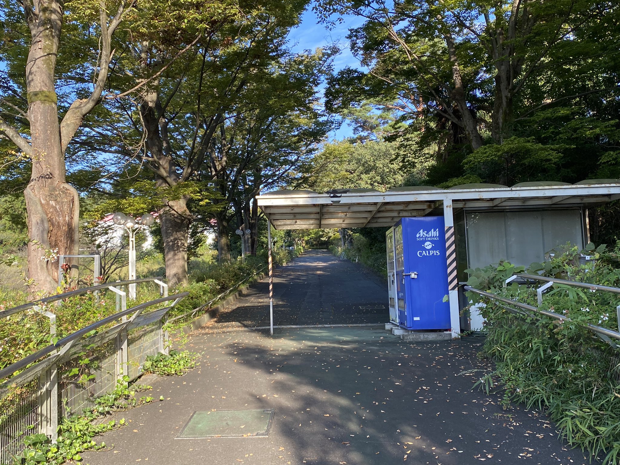 さぎのは ユネスコ村跡 T Co Rd7upoqk7i Twitter