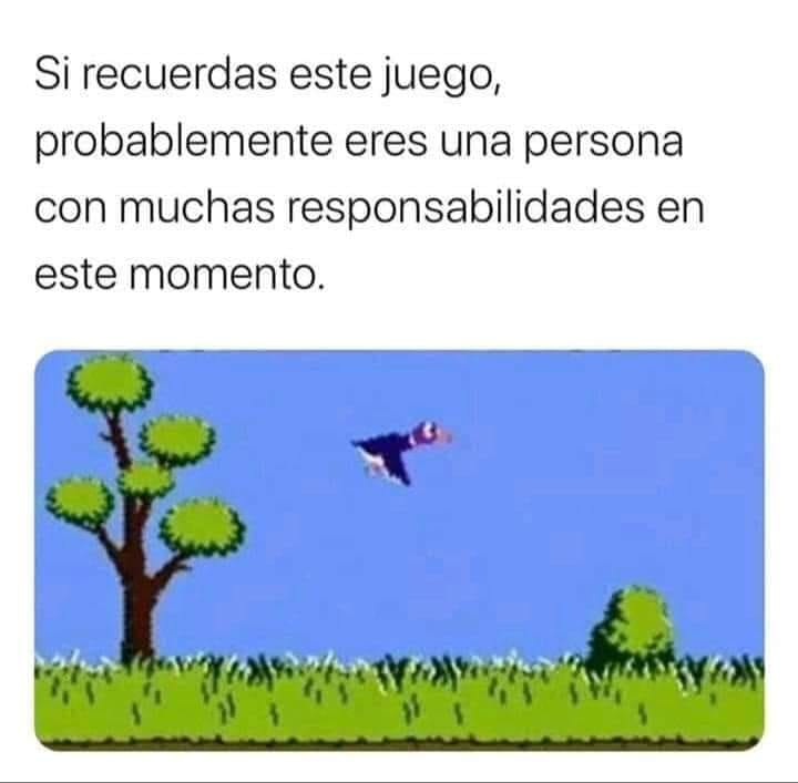 Cristinini's tweet photo. https://t.co/EeXO4fs8TR