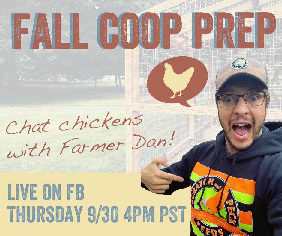 ScratchandPeck's tweet photo. This Thursday Farmer Dan will be talking chicken coop prep and how to get you flock ready for fall &amp; winter. Tune into our FB Live Thurs 4pm pst with your questions and learn from our resident bird nerd! See you then! https://t.co/3nfK7vy7LK