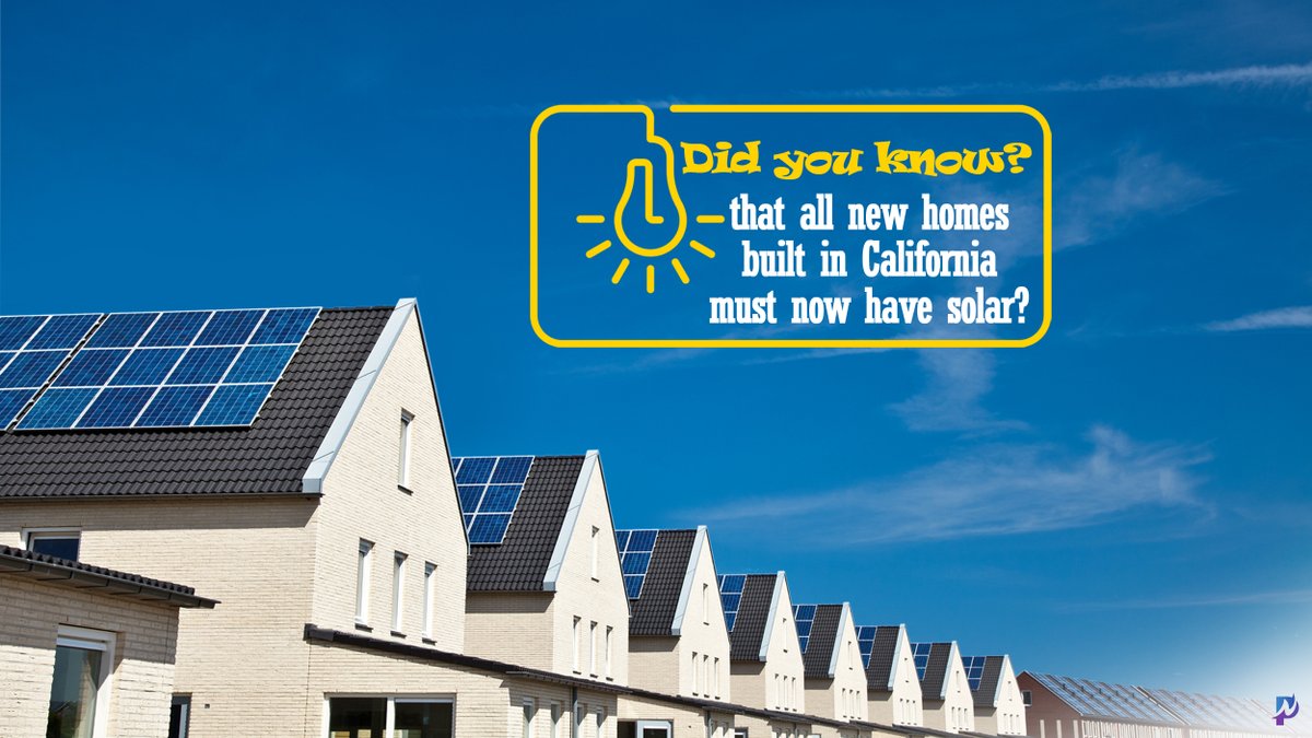 Pro Appointment Setting tweet media