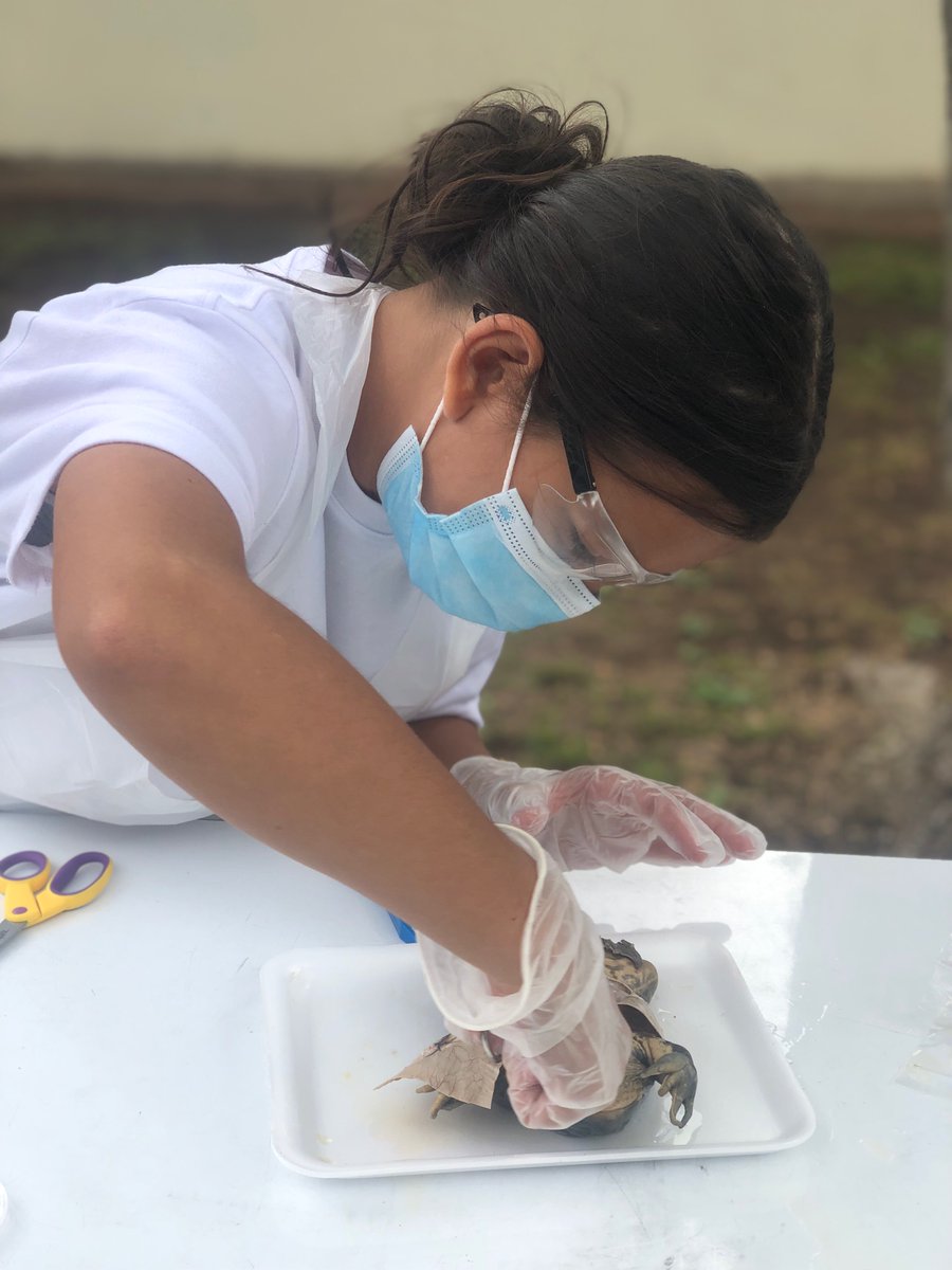 walshra4's tweet photo. Some people only dream of meeting their favorite scientists, I teach mine. Students were given lots of choices and could choose an alternative assignment as well. 🥰@EmSTEAMCVUSD #gainingEmSTEAM #scienceisthebest #studentchoice https://t.co/i89ysTbRU1