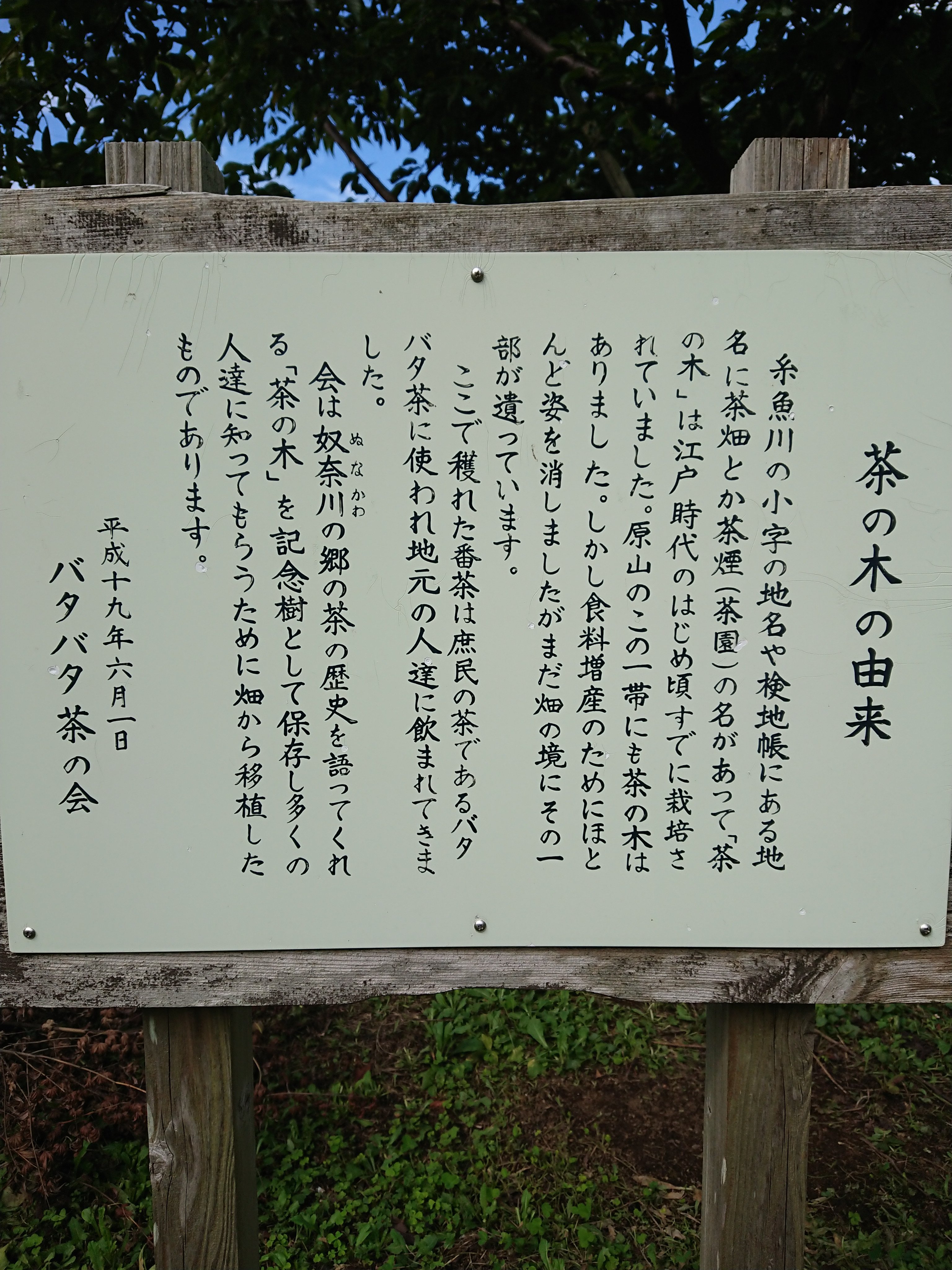 バタバタ茶 Twitter Search Twitter