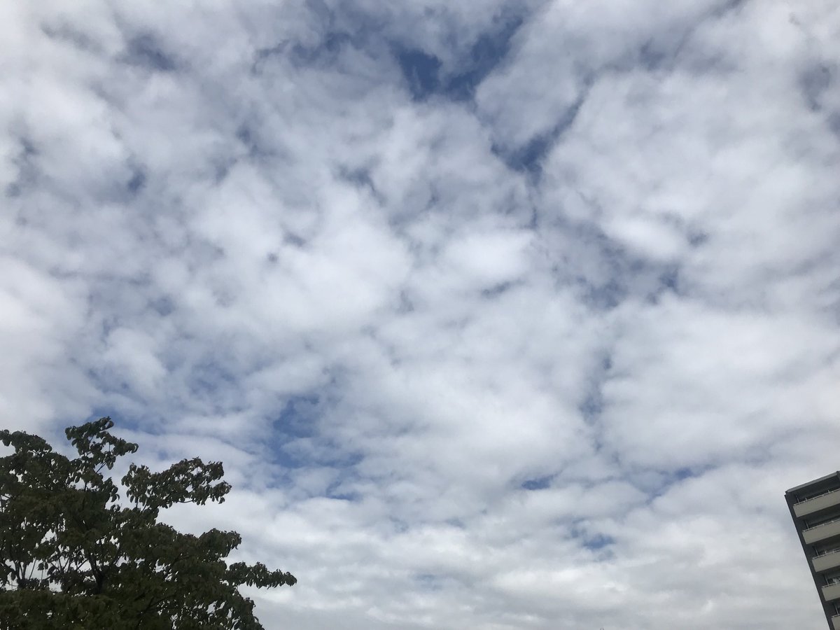 おはようございます。今朝の名古屋は、雲の多い空ですが少し蒸し暑いです。ヤスイ質店、今日も元気に営業しています！
yasui78.com