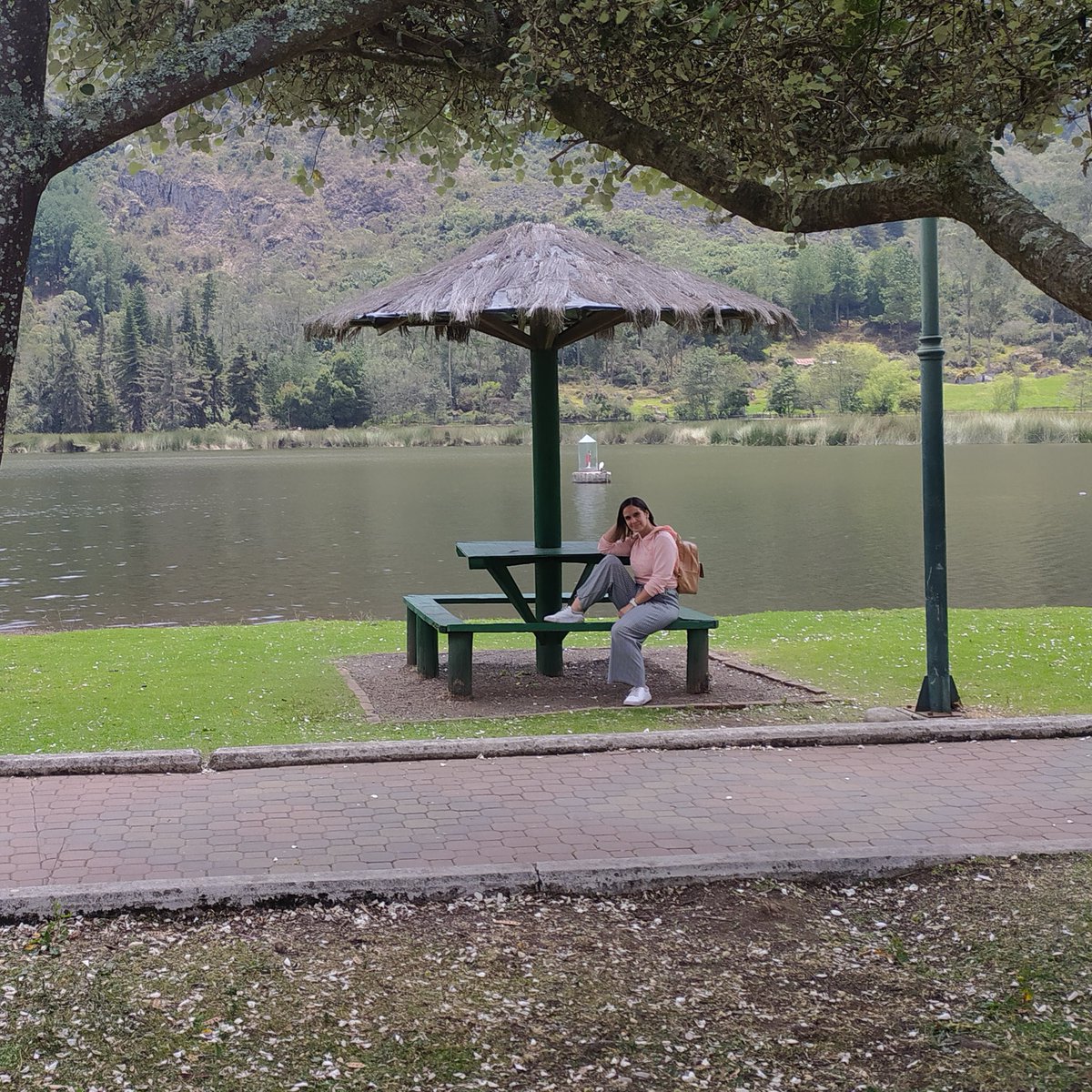 GiniGilbert's tweet photo. #NuevaFotoDePerfil #minirelax🇪🇨 https://t.co/FQNRyYYhvi