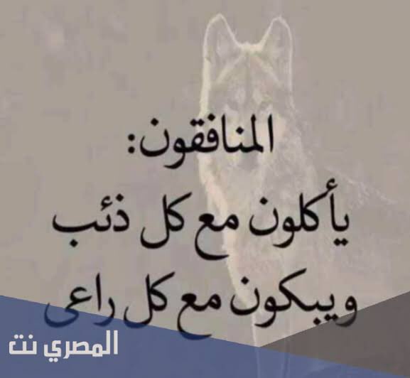 اِلٰى الأفواه، وليسَ اِلٰى الأِعْلاٰمْ..! " يحملون العيون؛ لا ناظِرَ ولا حَذَرْ..! قومٌ اصبحَ اللِسانُ عِندَهْم، المُديرُ لِعَمىٰ البَصَرْ. " م ز
