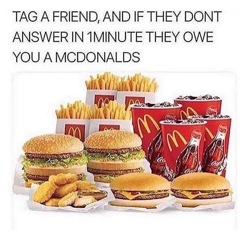 TweeBuddTheGoldenApple tweet media