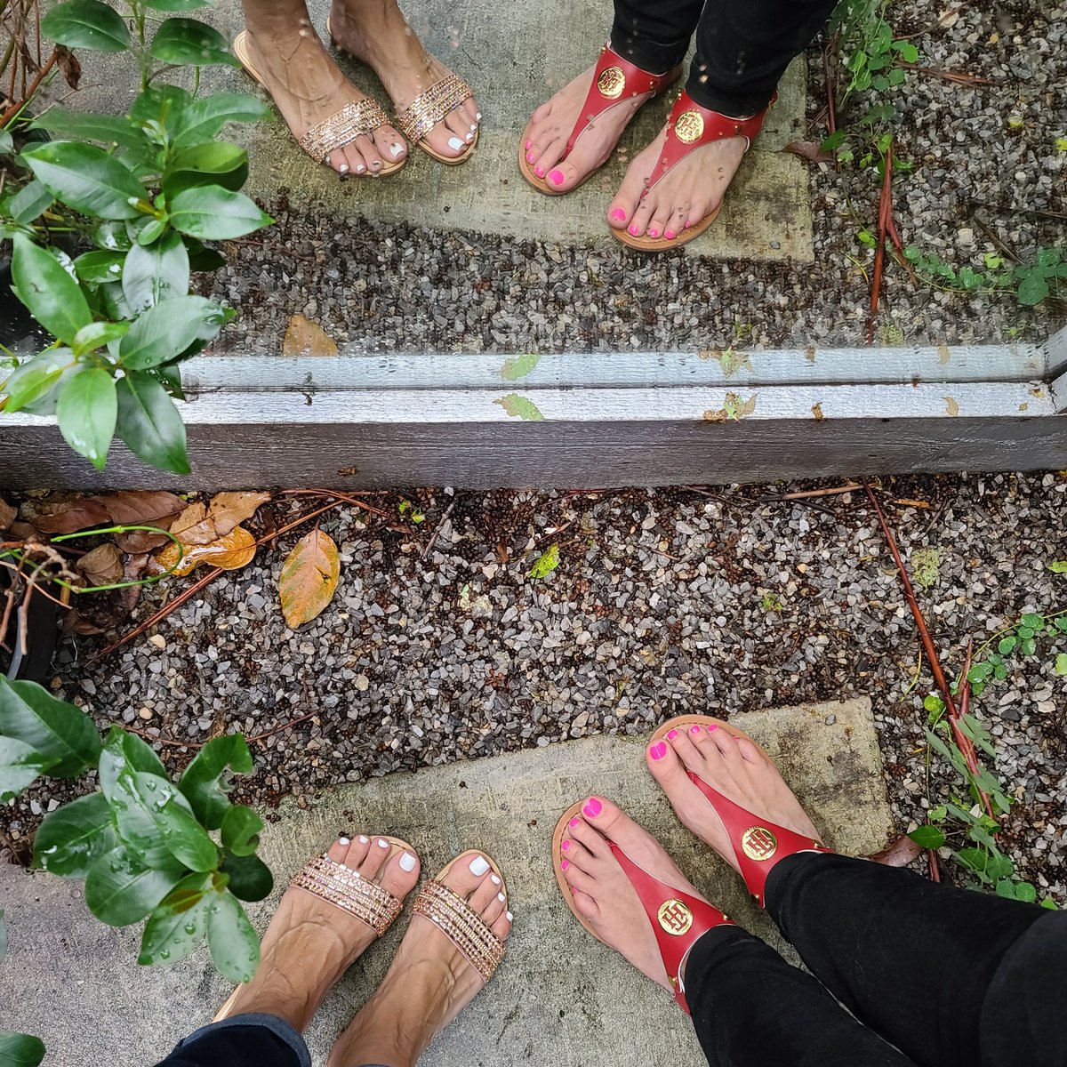 sisterfeets's tweet photo. All new subscribers to our Onlyfans site will get a bonus customized picture. https://t.co/tc1b2ga7dR  #sisterfeets #feetlove #feet #perfectfeet https://t.co/ZFgT6s0Qhx