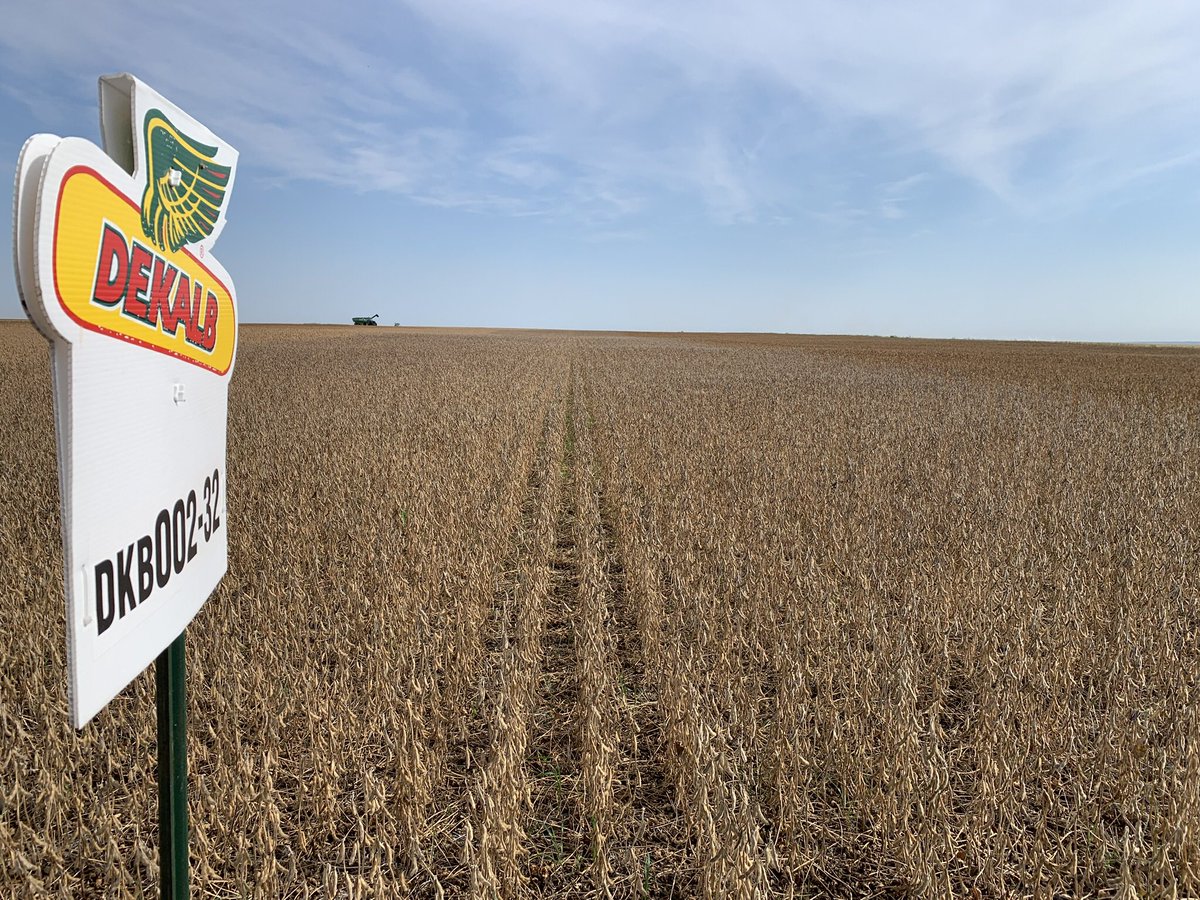 Aggeez28's tweet photo. Top Yielding @DEKALB_Canada Soybean MD plot in western MB goes to Carson Schoonbaert at Deloraine, MB! New EXP006-21 yielded 63.1 bu/acre! Followed by DKB002-32 at 53.2, and has won most of our plots last 3 years. @Bayer4CropsCA @FieldViewCanada #harvest21 #fillthebins https://t.co/2gFNbzABz1