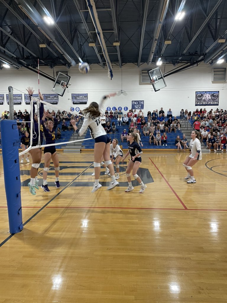 Cactus Shadows tweet media