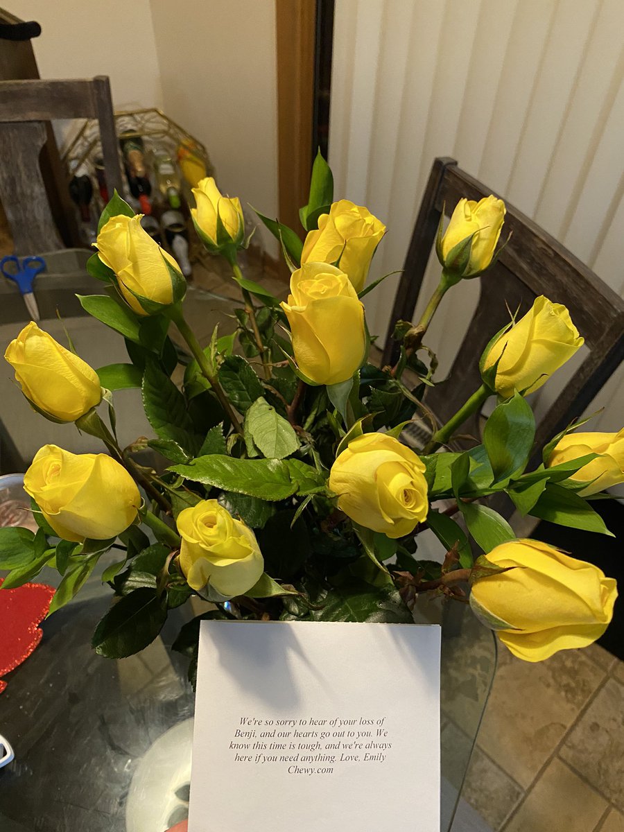 Vic_Crouthamel's tweet photo. Shout out to @Chewy! A top notch company! Not only did they help me refund my order after our Benji passed away and asked we donate the products to our local animal shelter. These beautiful roses showed up at our door today from them!! Such a nice sentiment! #kindnessexist #love https://t.co/wdz4TBqMj8