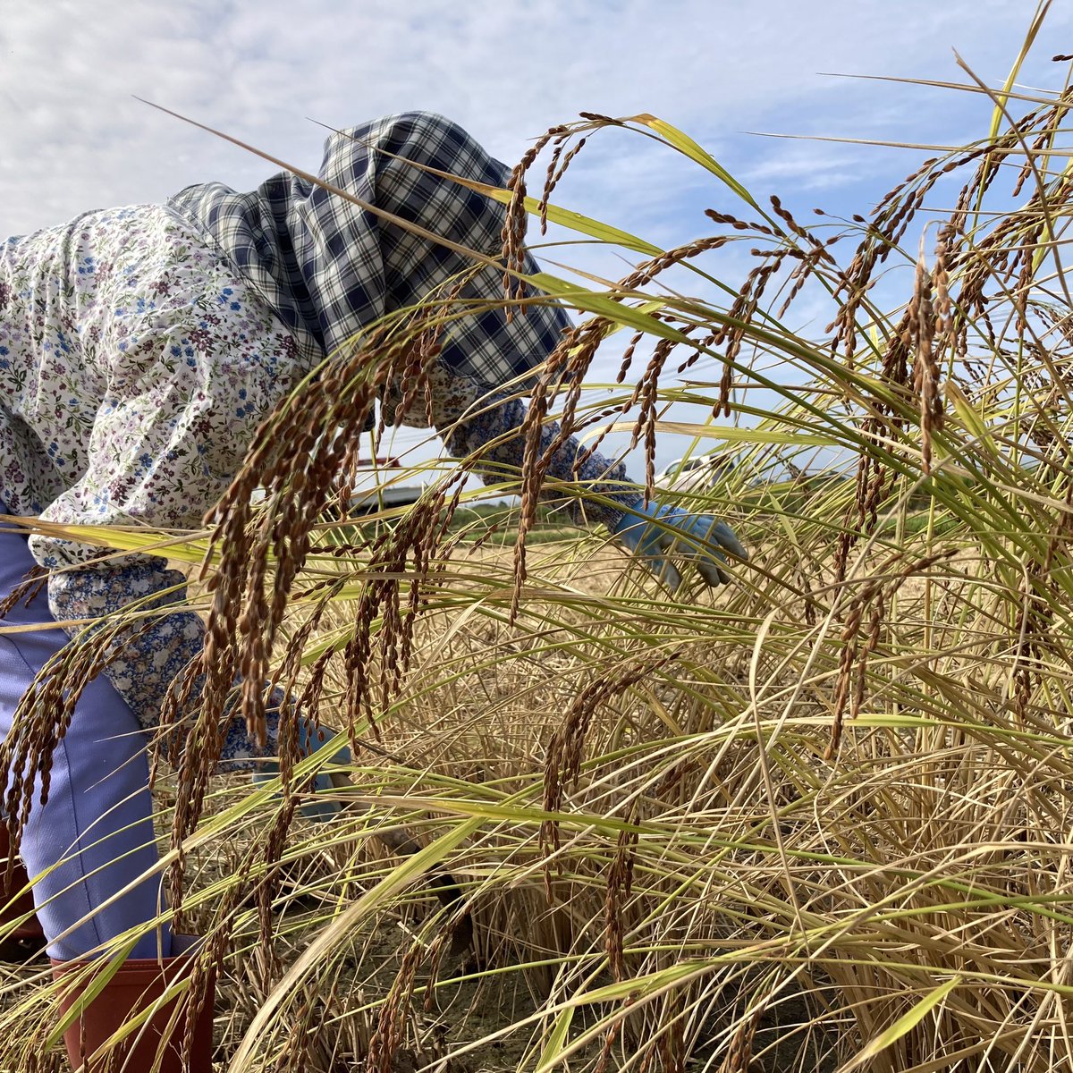 Top Tweets For 伊達郡 Twstalker