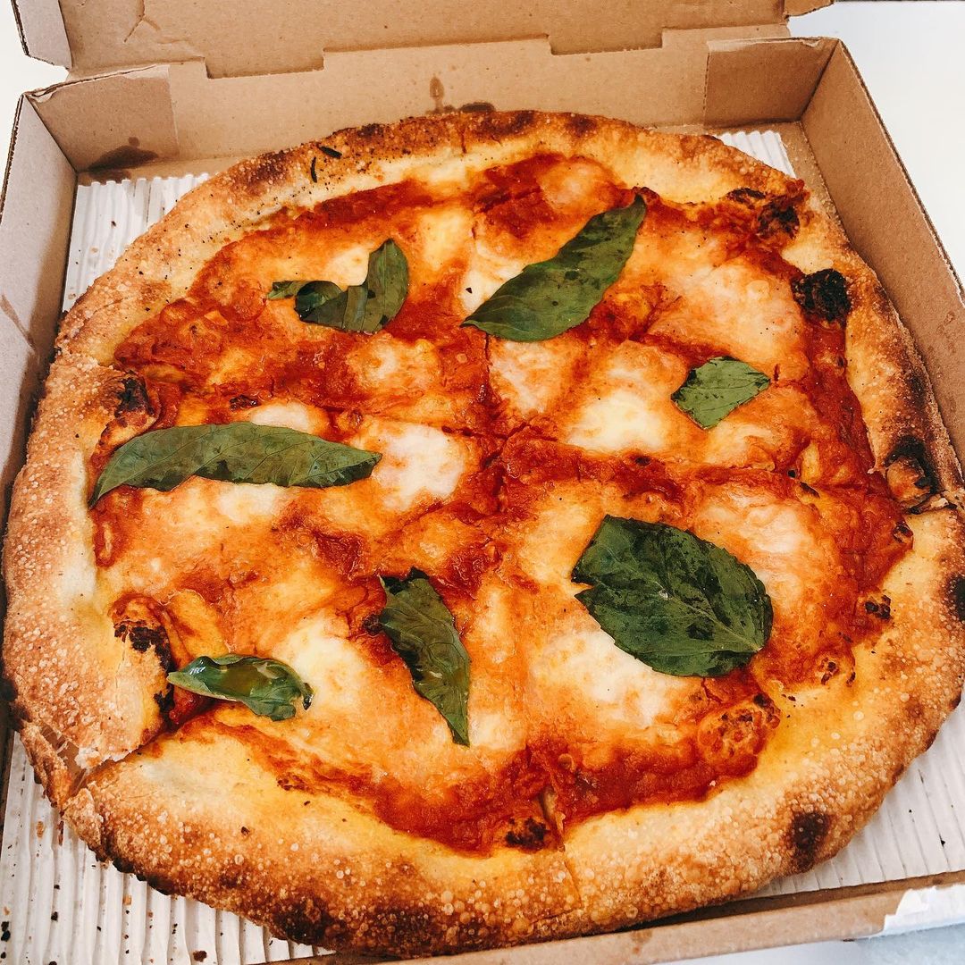 Milo and Olive tweet media