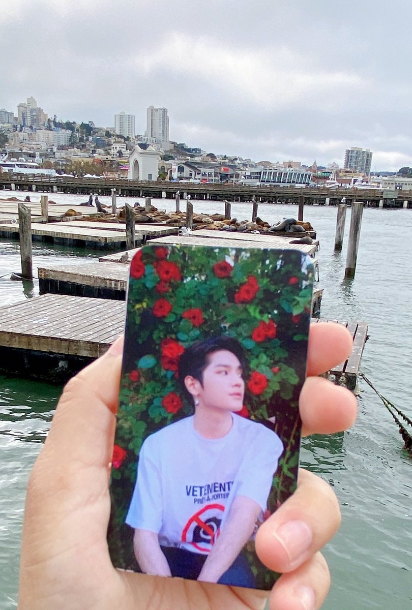 baypeachevents's tweet photo. Taeyong stopped by Pier 39 to visit his sea lion friends before our @SuperM 2nd anniversary cup sleeve event this weekend! #2Fast2Super https://t.co/V3dDYVqVUw