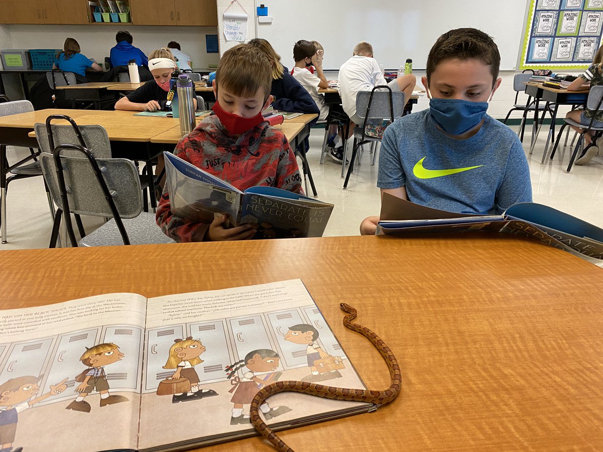 Katie Nobiling tweet media