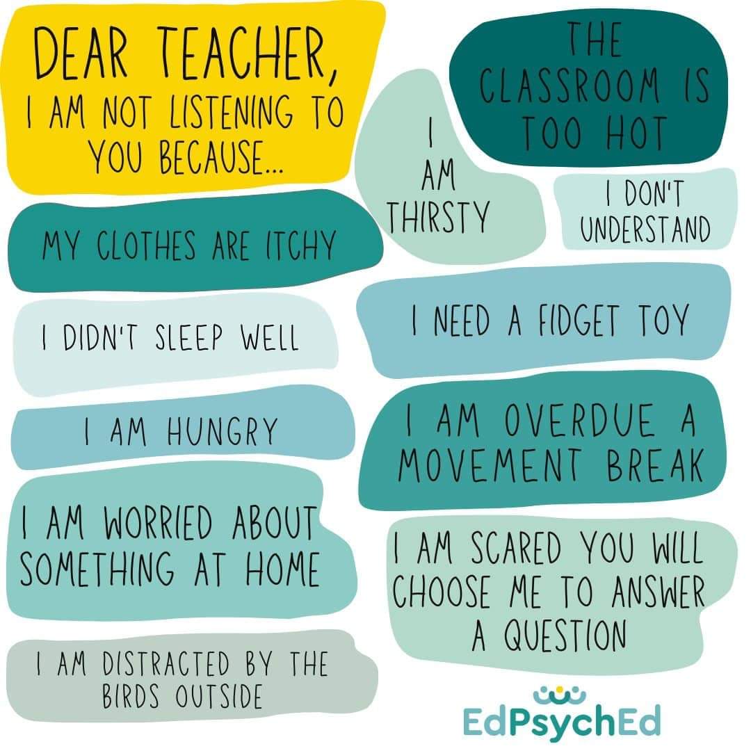 The Groovy Teacher tweet media