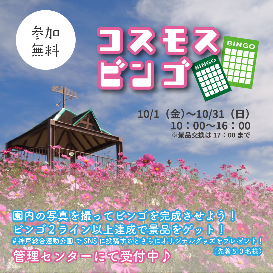 神戸総合運動公園 コスモスビンゴ 開催 10 1 金 31 日 受付時間 10 16時 景品交換は17時まで 受付場所 管理センター 参加費 無料 T Co Hwmtq2syks 神戸総合運動公園 神戸 Kobe 須磨 公園 Park コスモス 秋桜 こすもす