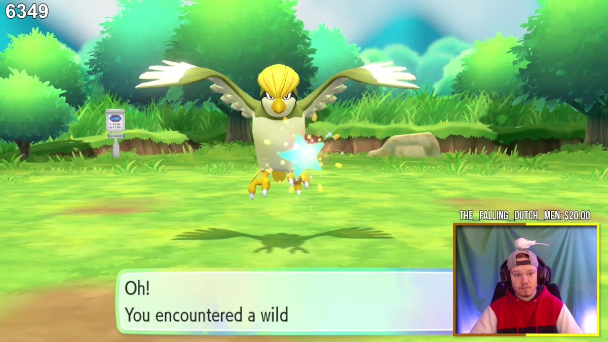 ShinyHaunterSJ's tweet image. My most over odds and also last shiny of #LetsGoWeek2021✨

My shiny Compilation video from the event should go up in a few days ✌️