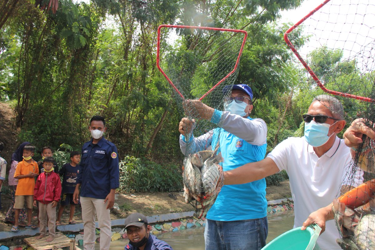 IndraHariman1's tweet photo. Mnfaatkan saluran sekunder sungai Kaligung di Desa Kaligayam, sbg tmpt buddya ikan, Karang Taruna KabTegal brhsil pnen 300 kg  ikan nila, Minggu (26/09).
#GiatluhkanSatminkalTegal 
#aksiLuhkan

Cc: @umiazizah60 @infotegal @septanugroho801 @BudidayaKKP @puslatluhkp @ganjarpranowo https://t.co/qOobbaJFnO