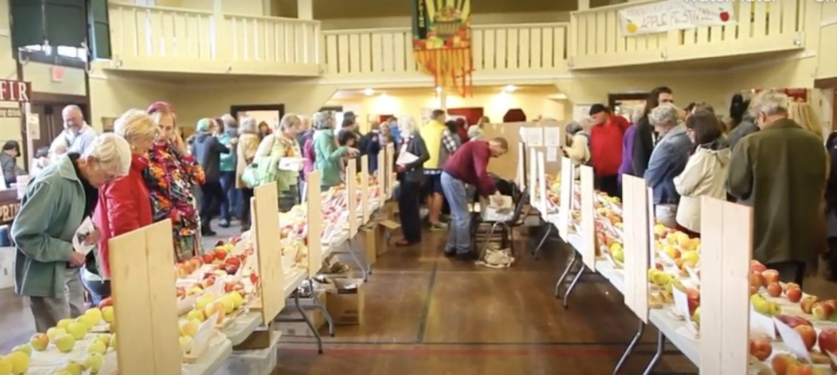 OpportunitySSI's tweet photo. The Salt Spring Apple Festival goes Sun, Oct 3 from 9am to 5pm. A map, which includes the list of participating farms, is provided with ticket purchase. Tix at Fulford Hall &amp; Info Centre (Photo: 2016 festival) https://t.co/49H2slcmEQ #AppleFestival #SaltSpringIsland #Rural https://t.co/aqAfHOODA7