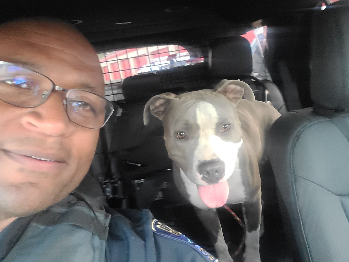 Darrell_Ross tweet media