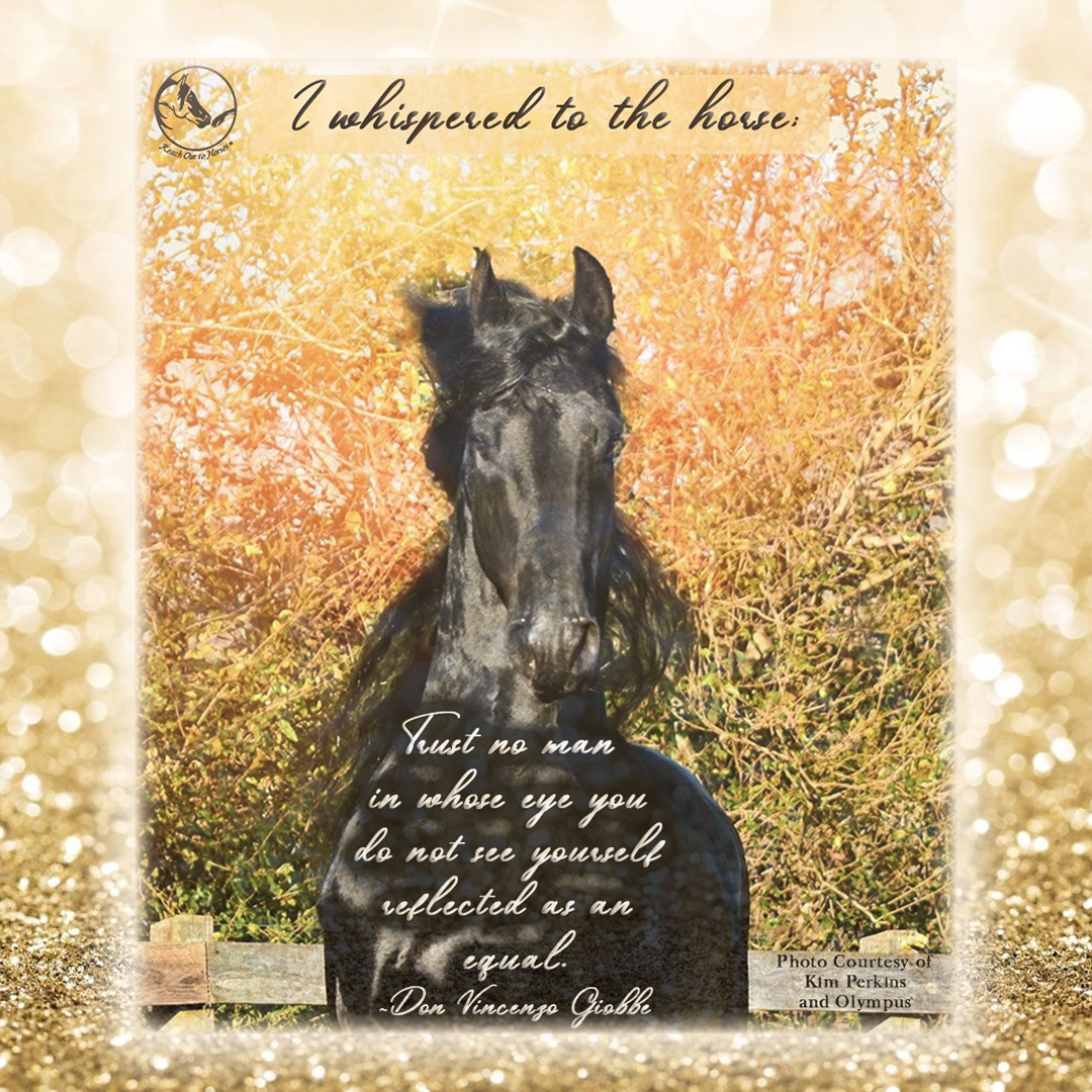 AnnaTwinney's tweet photo. And we whispered to the horse...we see you, we honor you, we love you, and we will treat you as an equal.
Feel the same way?  Join the tribe here: https://t.co/ihavCTp6WJ https://t.co/E9LYFlRJwe