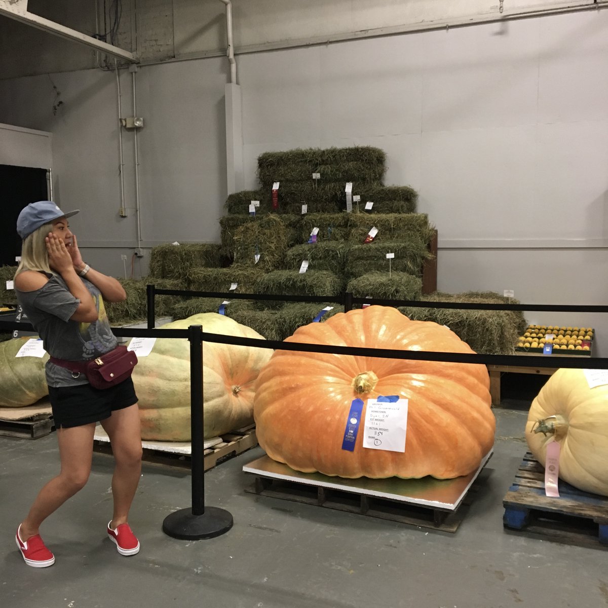 #WaybackWednesday ~ 2019 USA 🇺🇸 ~ My first fall season. Not gonna lie, pumpkins is a way of life! 🎃 Hope my Midwest fam are in gourd heaven this fall 💕