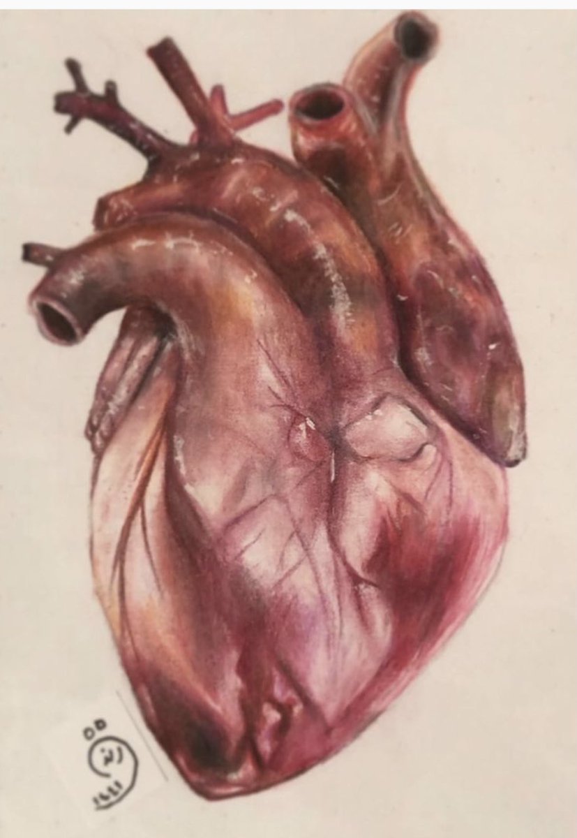 بمناسبة اليوم العالمي للقلب الذي يوافق ٢٩ سبتمبر من كل عام، عمل فني للقلب، ماشاء الله تبارك الله، بريشة الرسّامة رندة بنت الدكتور خالد الشبل حفظهما الله 🌹