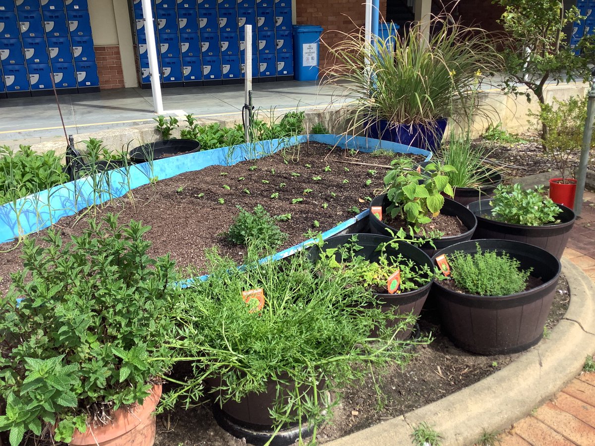 John Curtin College tweet media