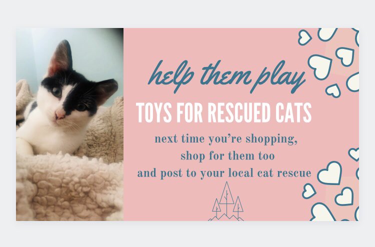 catlowry54's tweet photo. #toysforrescues for some rescuers are a luxury item.They are here!Cats kept in catios/runs needs lots of stimulation and play.Not everyone can afford to send a donation but you can pick up a cat toy for as little as 1 euro & just post to your local cat rescue.💕#helpthemplay https://t.co/dKM9wlXIti