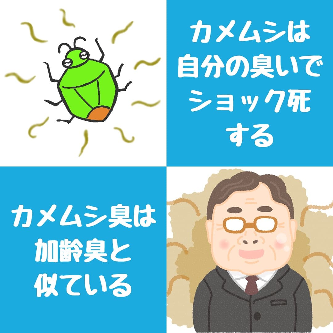kk_sunchemical's tweet photo. ニオイにまつわる
エトセトラ

続きは
https://t.co/BxCQGFfRlK https://t.co/ZJGI0PQCHF