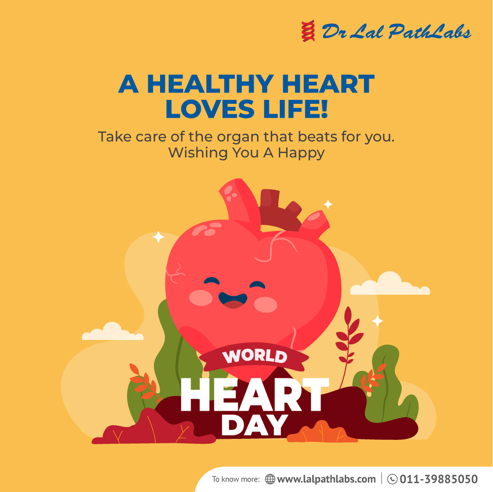 lalpathlabs's tweet photo. This World Heart Day, give your❤️all the love that it deserves.

#DrLalPathLabs #WorldHeartDay #HeartCare #HeartMatters #StayFit #BeSafeBeSure https://t.co/2mV0IEI8Ka