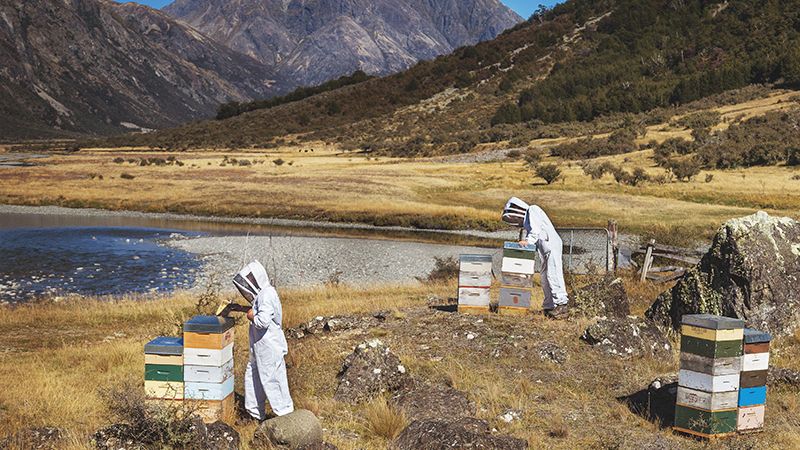 taylorpasshoney's tweet photo. Our #beekeepers enjoying their work at #TaylorPass. Their mission is to take special care of the #bees and their environment, and to preserve and share the remarkable flavours of this land. 🐝
#TaylorPassHoney #BeeAwareMonth https://t.co/5TyqfDZKW2