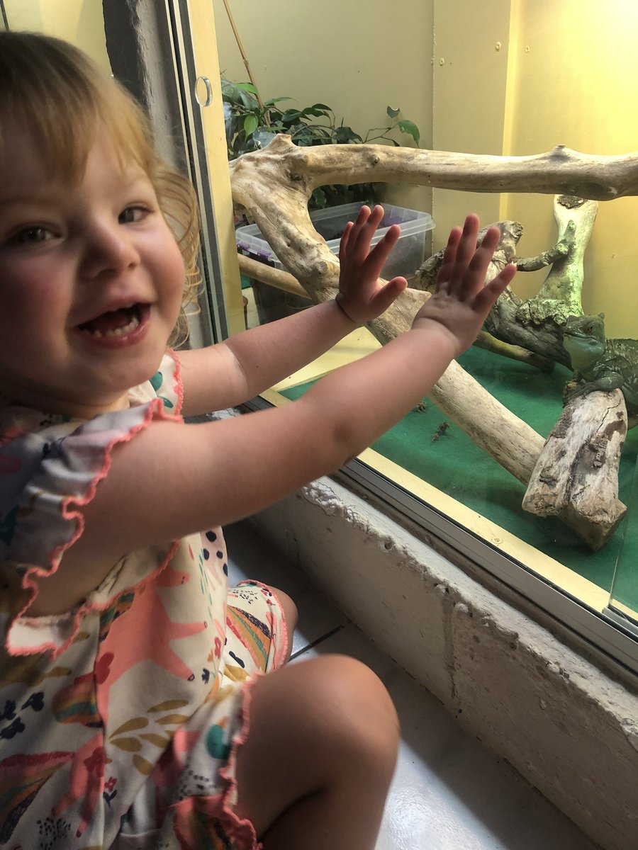 KatTulsie's tweet photo. @DrRamanaCardiac Happy heart day to you, our hero. Izzie had her checkup this week and was doing amazingly after the work you and Dr Jivanji did for us last year. She’s such a happy and healthy little 2 year old ❤️❤️❤️ https://t.co/wsYXjKr8Kt