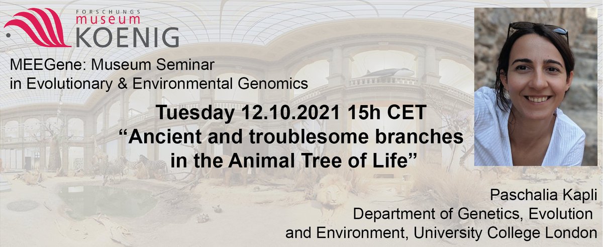 #MEEGene @LIB is back for this semester, happy to have @PKapli from  @UCL @TelfordLab & @zihengyang for the first talk, 'Ancient and troublesome branches in the Animal Tree of Life', join us on the 12.10 15h, simply email to meegene@leibniz-zfmk.de to register