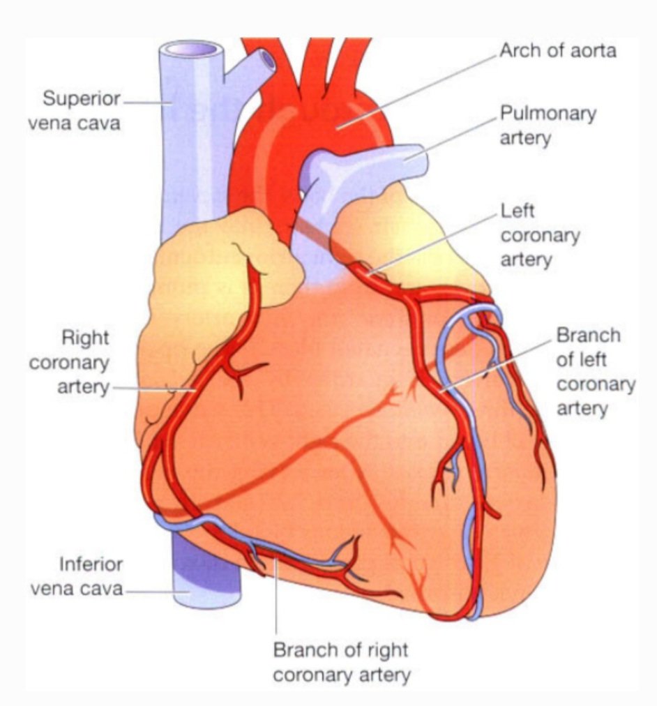 Keep your heart safe and healthy. Happy World Heart Day !