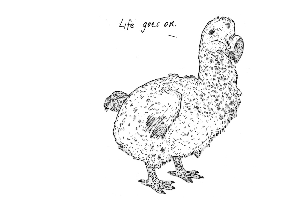 ILLBeDead's tweet photo. #animals #nature #animal #wildlife  #animallovers #art #fineart  #animalart #animalsofinstagram   #nftartist #drawing #nft #nftart #nftartist #penandink #penandinkdrawing #nftcommunity #philosophy #humor #animals #animals #talkinganimals #illbedead #bird #birdart https://t.co/f4iJyuvUC6