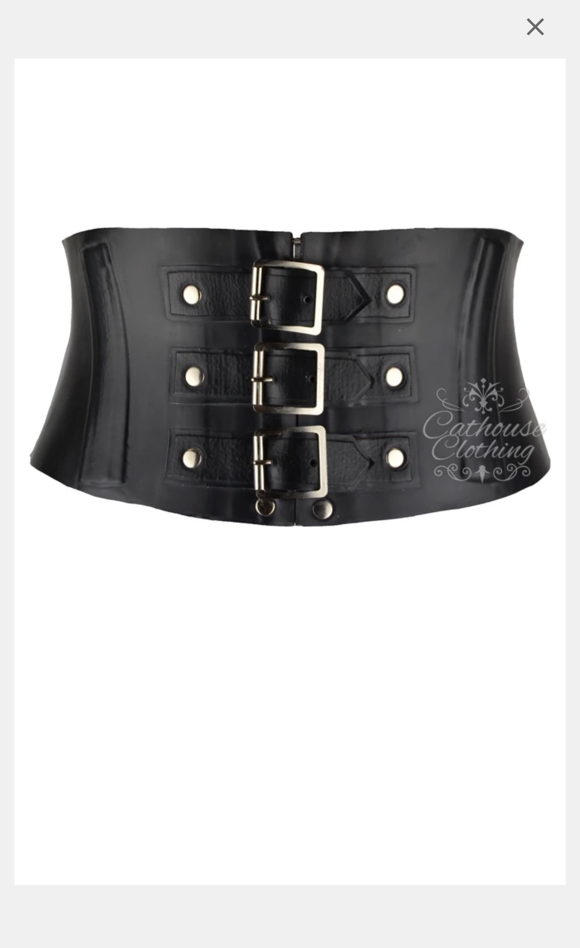So excited my slave bought me my first @cathouseclothes piece! This is the beginning of a beautiful relationship with @cathouseclothes https://t.co/nuxUBG0lFI