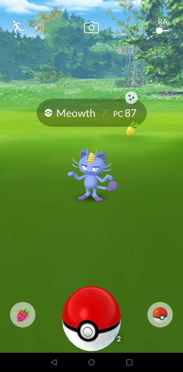 JomuPoGo's tweet photo. Muy buena hora destacada 💪🏻

A good spotlight hour 💪🏻

• 207k ☄️
• 5km 🏃🏻‍♂️
• 2 shinies ✨

#PokemonGO #SpotlightHour #AlolanMeowth #Shiny https://t.co/TrV1SqnKPH