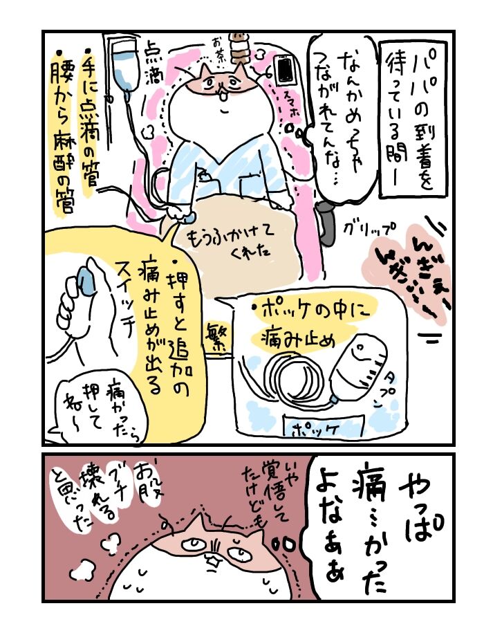 #出産直後の感想教えて
第一子出産後の感想これです。
おまたブチ壊れると思った。
計画じゃない無痛(和痛)分娩で夫が立ち会い間に合わなかったので一人で産んだのね。
次(初冬予定)もコロナで立会できないから…頑張りたい…