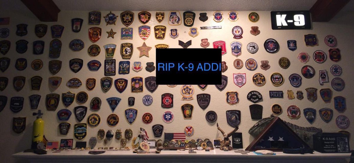K9AddiMemorial's tweet photo. Remembering K-9 Addi on the fourth anniversary of her end of watch date.   K-9 Addi EOW September 29, 2017. #K9 #EOW #K9LeadsTheWay https://t.co/UbzoXkLX1o