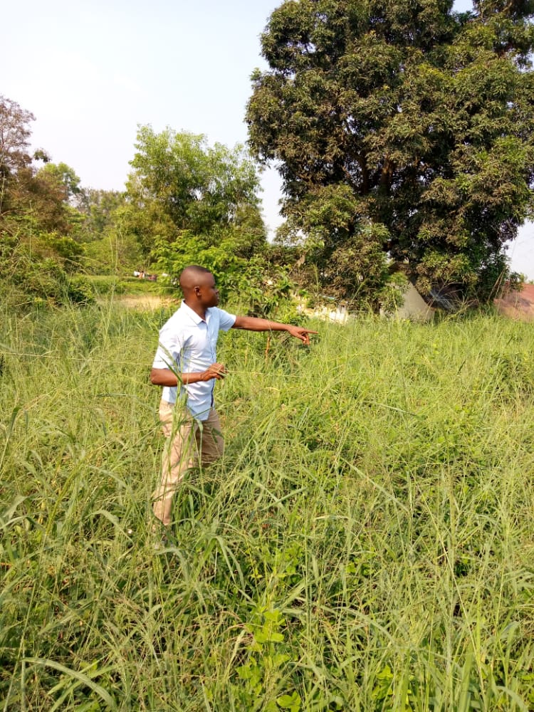 DEC_Organisatio's tweet photo. C'est une étude où nous voulons reboiser un espace de 35m afin d'avoir une forêt artificielle dans la ville de #Kindu au #maniema. Courage chers jeunes de l'Observatoire Congolais pour la Gouvernance Locale #OCGL. @XR @xruganda @UN @E_Ndimwiza @France24_fr https://t.co/gZknT5CoQV