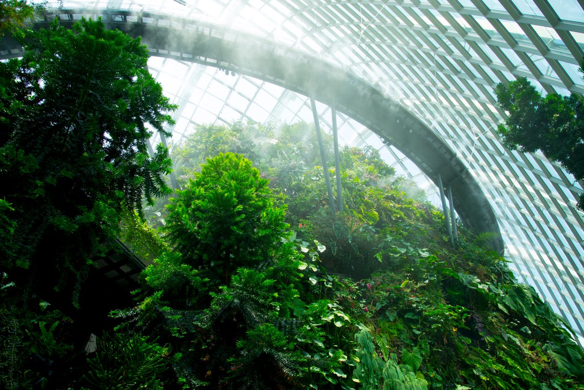 Launched the New Nature Economy: Asia's Next Wave report at #Ecosperity Week this morning with <a href="/Temasek/">Temasek</a> and <a href="/wef/">World Economic Forum</a>. The main message: nature-positive business opportunities worth US$4.3 trillion annually can address the #BiodiversityCrisis in Asia Pacific tmsk.sg/40d63d