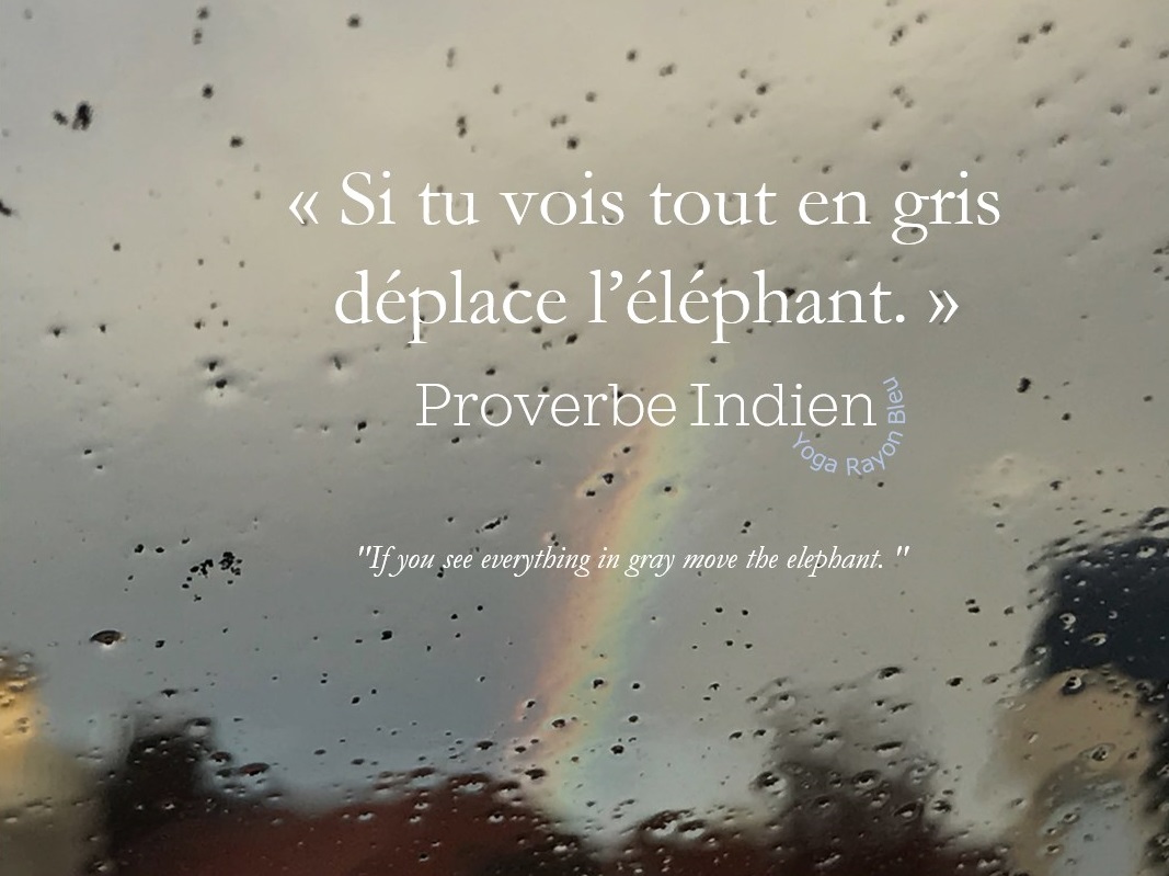 ambre_helene's tweet photo. « Si tu vois tout en gris, déplace l’éléphant. »
Proverbe indien
«If you evrything is grey to move the elephant.”
Photo #YogaRayonBleu 2019 Bougival
#namasteॐ
#yoga #citation #ProverbeIndien #relaxation #yogabougival #yogavesinet #yogalepecq #bougival #vesinet #lepecq #yogalove https://t.co/1hoF7iPWV1