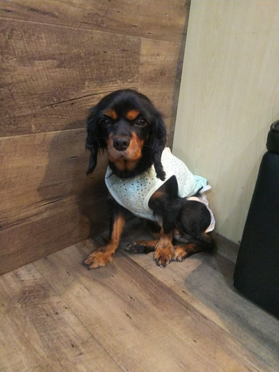 Ad A3 90 Ad B0 81 A3 Ab Ba B9 91 8b A8 Ab Procura No Twitter