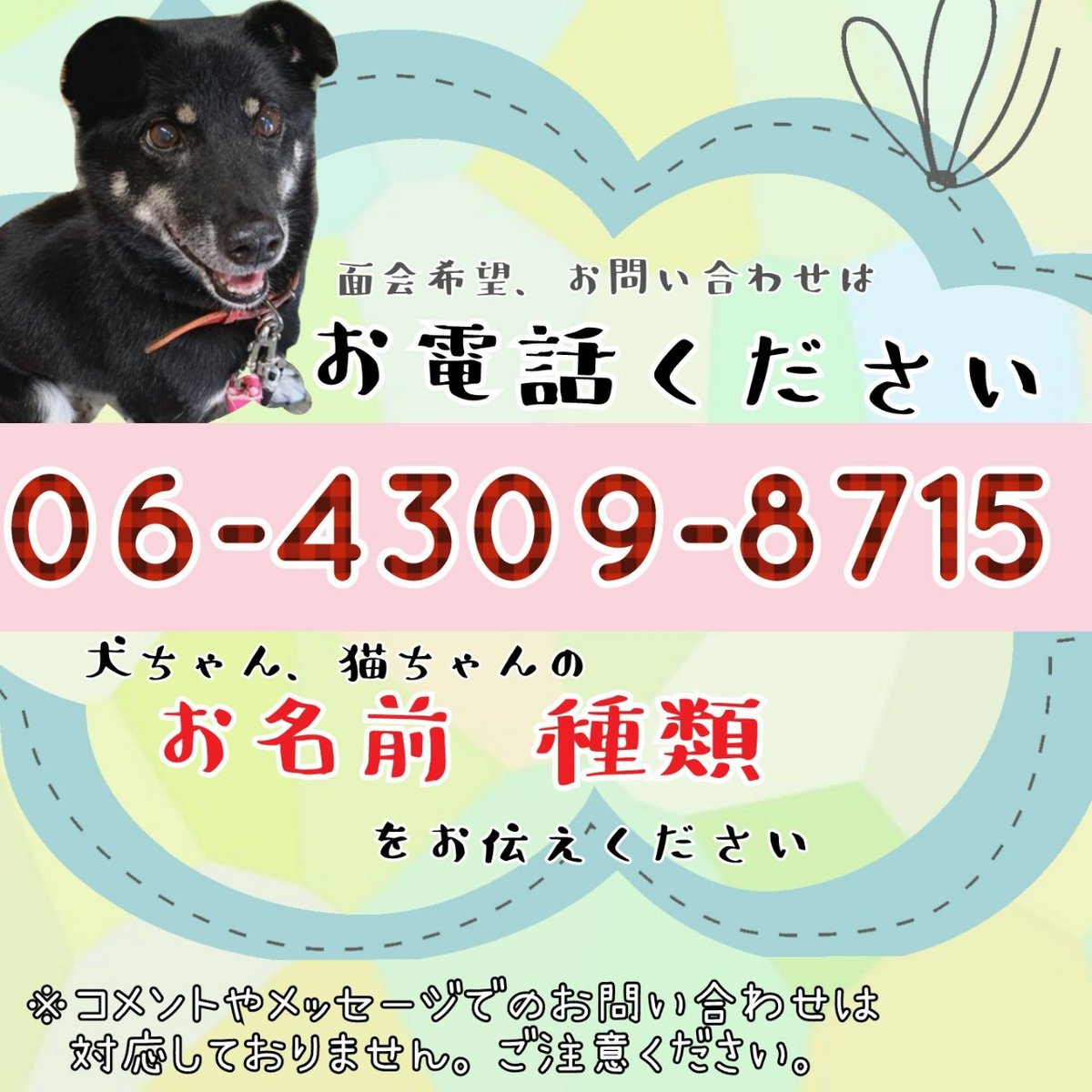 Ad A3 90 Ad B0 81 A3 Ab Ba B9 91 8b A8 Ab Procura No Twitter