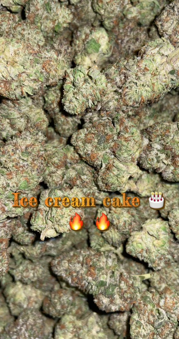 Munchieonwheel's tweet photo. Come fw us we’ll get you right 🔥🍃 https://t.co/AykqIMqXES