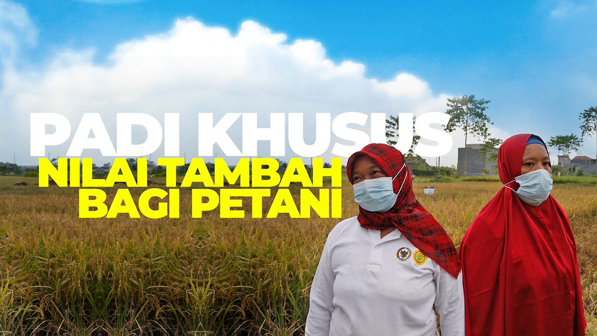 Balai Besar Penelitian Tanaman Padi tweet media