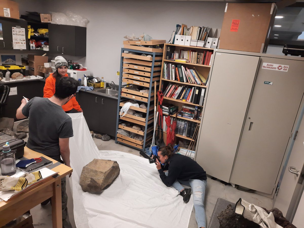 Sarah Aufrère tweet media