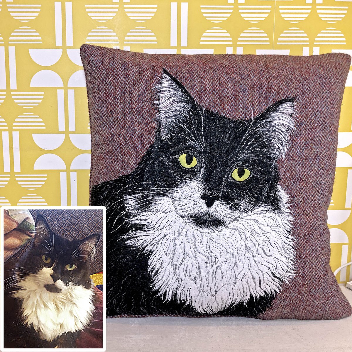 Lucie looks like a cat who means business! She has lovely markings and the purrfect model for a free motion embroidered cushion. #EarlyBiz #petportrait ow.ly/GbnT50Gi5d8